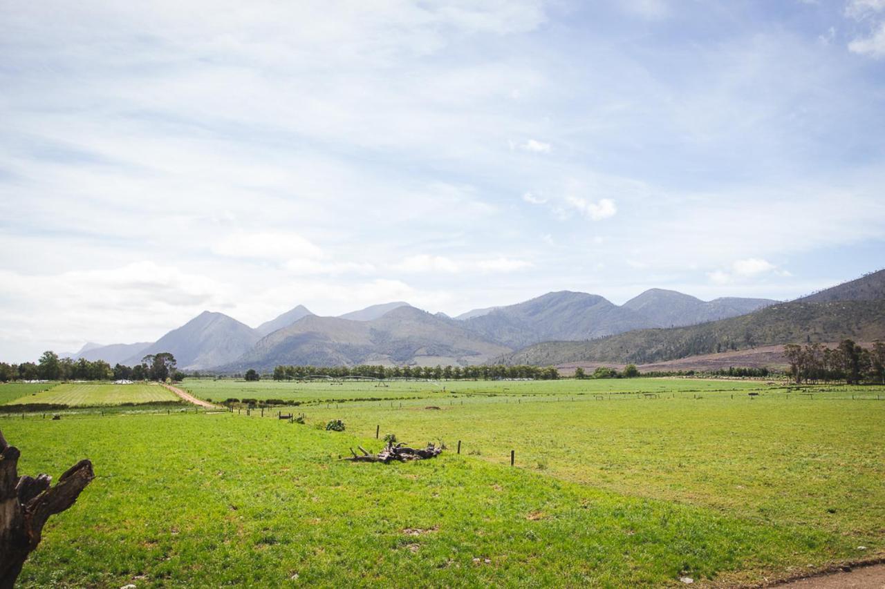 Tsitsikamma Cottages Witelsbos エクステリア 写真