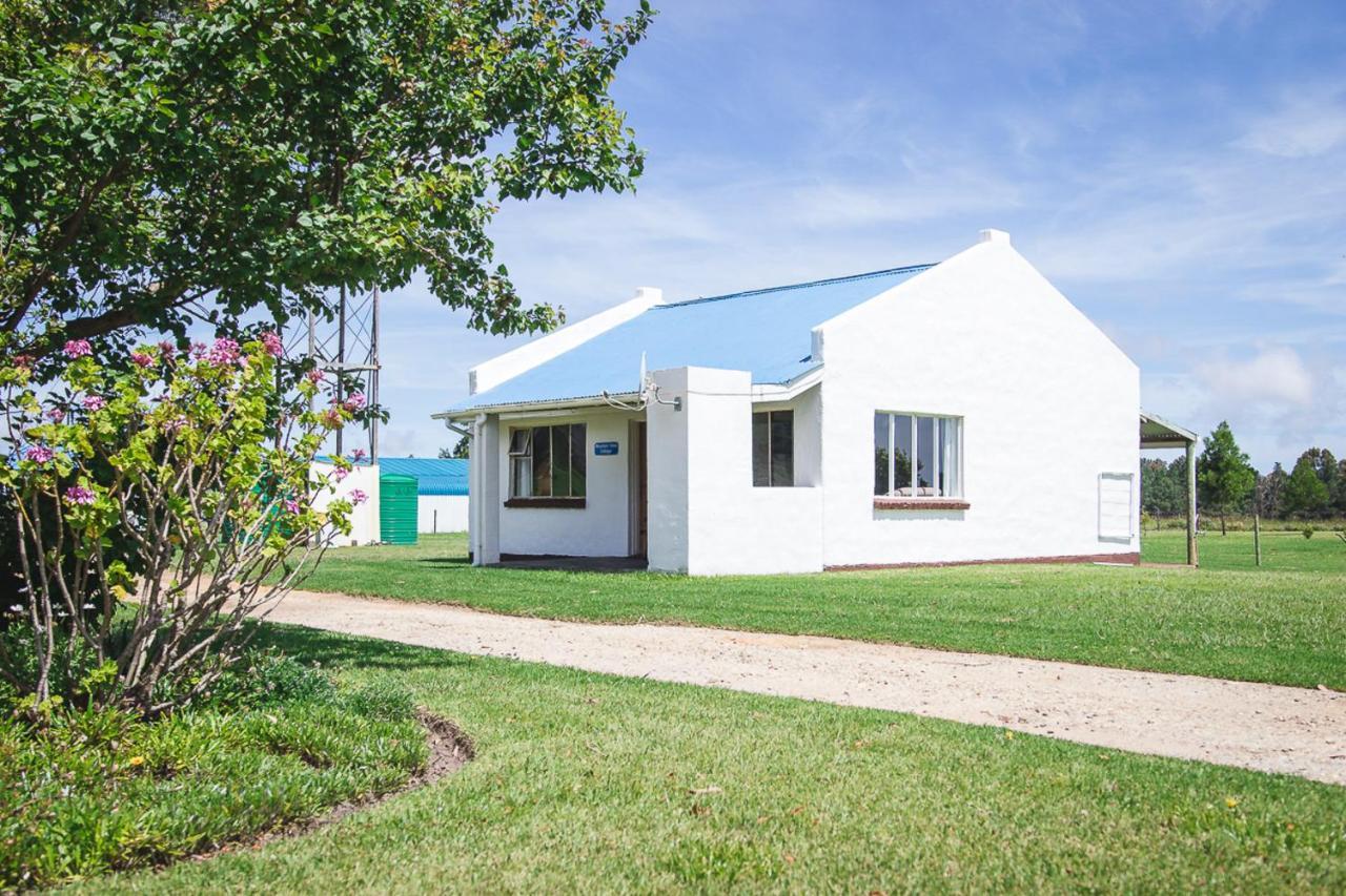 Tsitsikamma Cottages Witelsbos エクステリア 写真