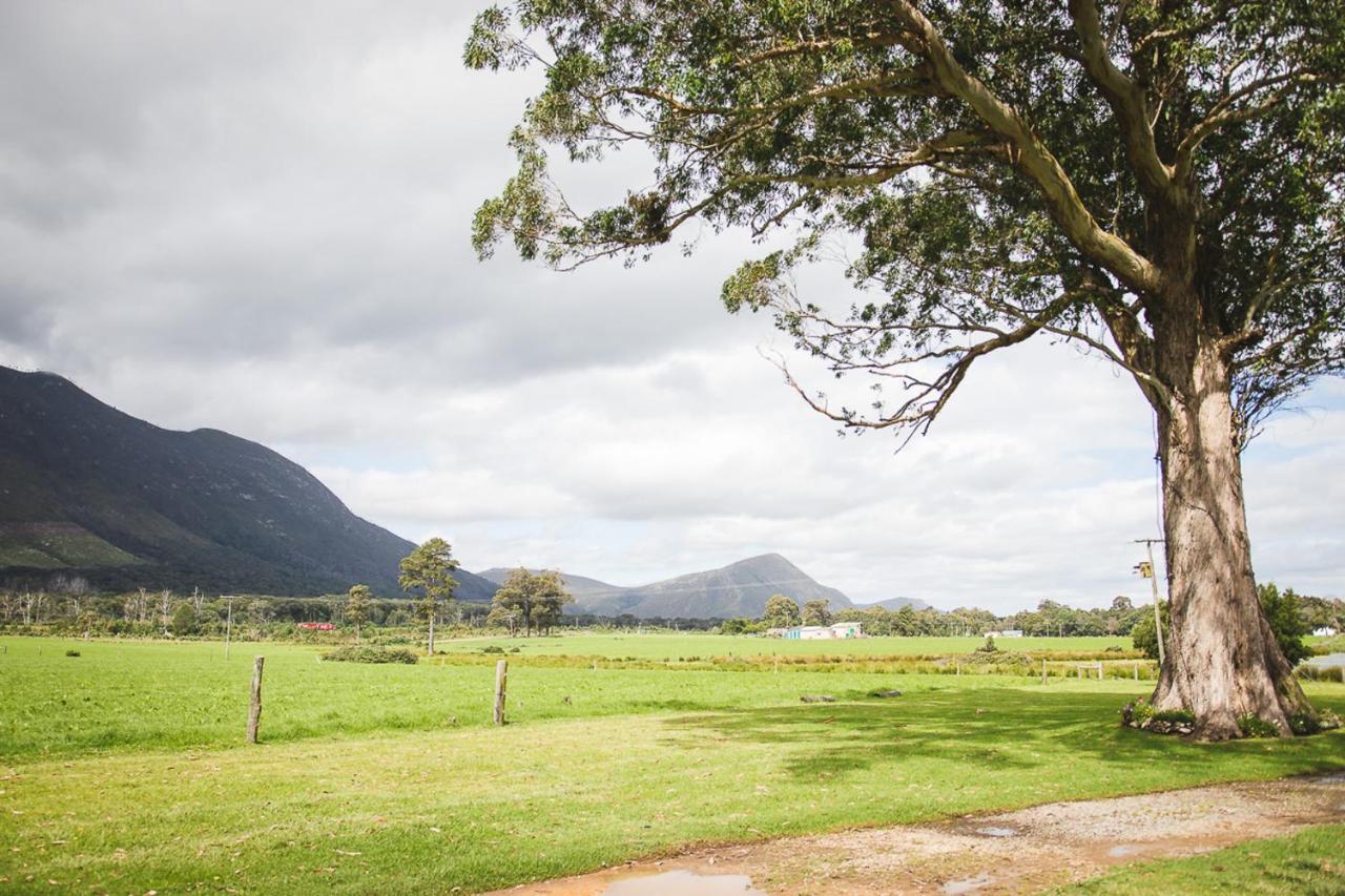Tsitsikamma Cottages Witelsbos エクステリア 写真